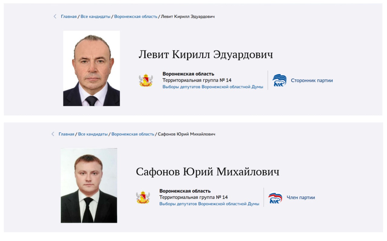 Политические амбиции, страсть к деньгам или «тяга на родную землю»? – кто идет на праймериз перед выборами в Воронежской области