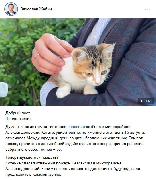 «Сливки соцсетей»: игра в падел, визуализация, спасение котенка и фотографии в сомбреро