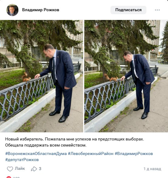 «Сливки соцсетей»: игра в падел, визуализация, спасение котенка и фотографии в сомбреро