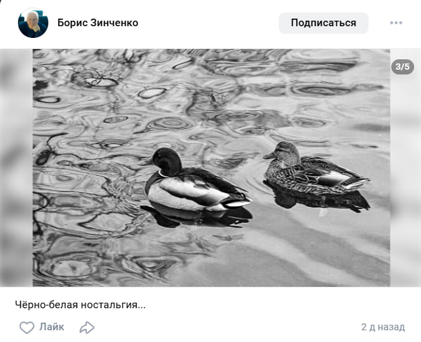 «Сливки соцсетей» – антиклещ-костюм, черные яйца и Сколково
