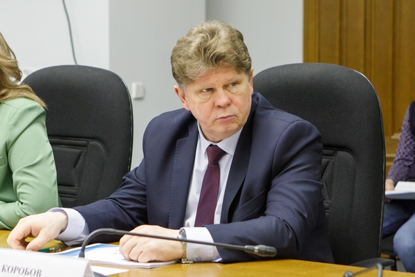 Отсутствие отчетов о работе, помощь детям и постоянные встречи – чем занимаются воронежские врачи-депутаты в думах