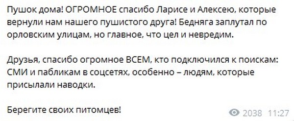 Элиты Черноземья в соцсетях: сыновья-первоклашки, найденный кот мэра Пушок и день рождения губернатора