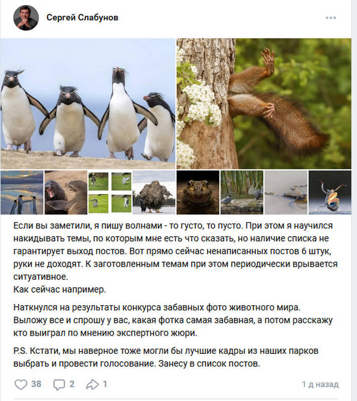 Элиты в соцсетях: конкурс забавных фото животных и «запаска» XVIII-XIX веков