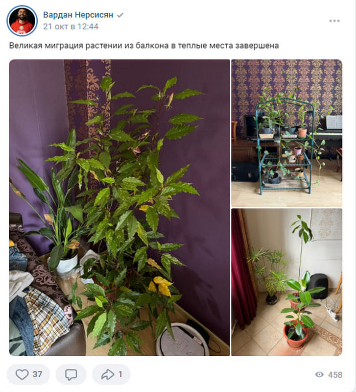 Элиты в соцсетях: «пошел гулять и заблудился», путешествие в ЮАР и организация великой миграции