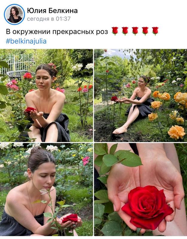 Элиты Черноземья в соцсетях: улитка на пробежке, пенсионерский отдых и помощь котикам