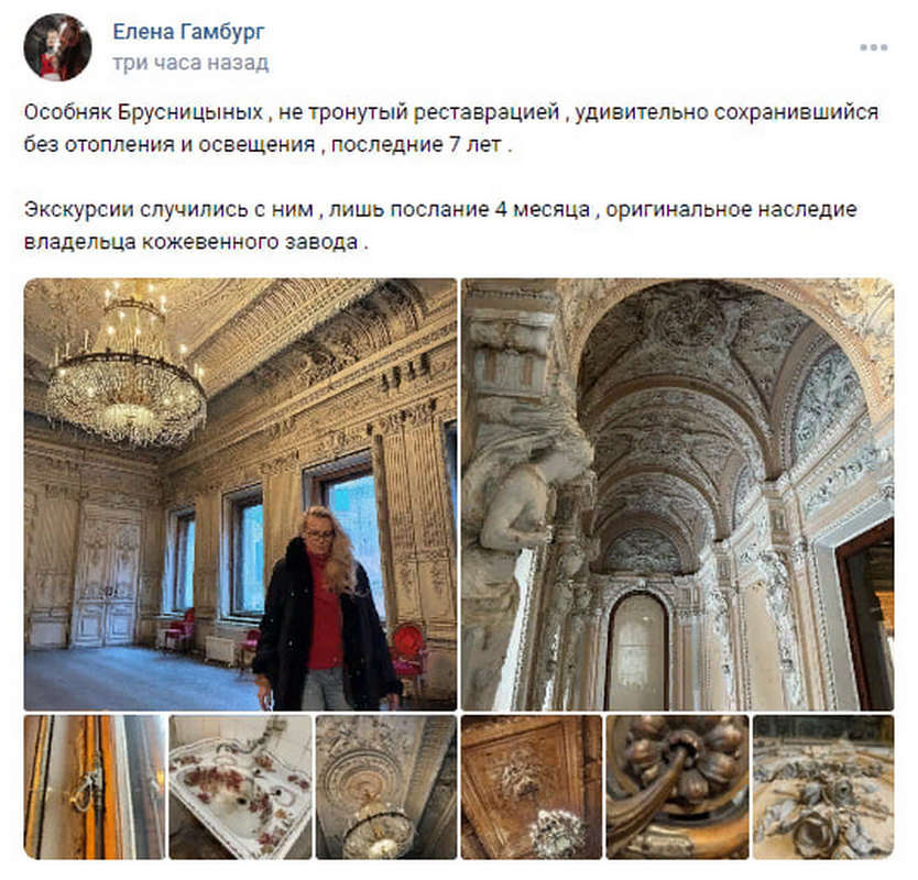 Элиты Черноземья в соцсетях: атласная свадьба, новорожденная альпака и трип по музеям