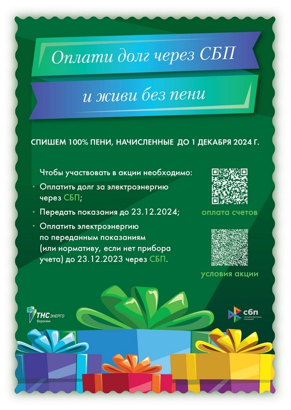 Оплати долги за свет через СБП и живи без пени