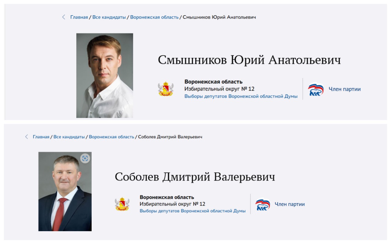 Политические амбиции, страсть к деньгам или «тяга на родную землю»? – кто идет на праймериз перед выборами в Воронежской области