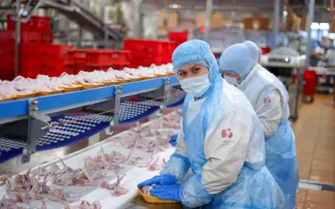 «Куриное царство – Брянск» в 2023 году увеличило производство на 17% «Куриное царство – Брянск» в 2023 году увеличило производство на 17%
