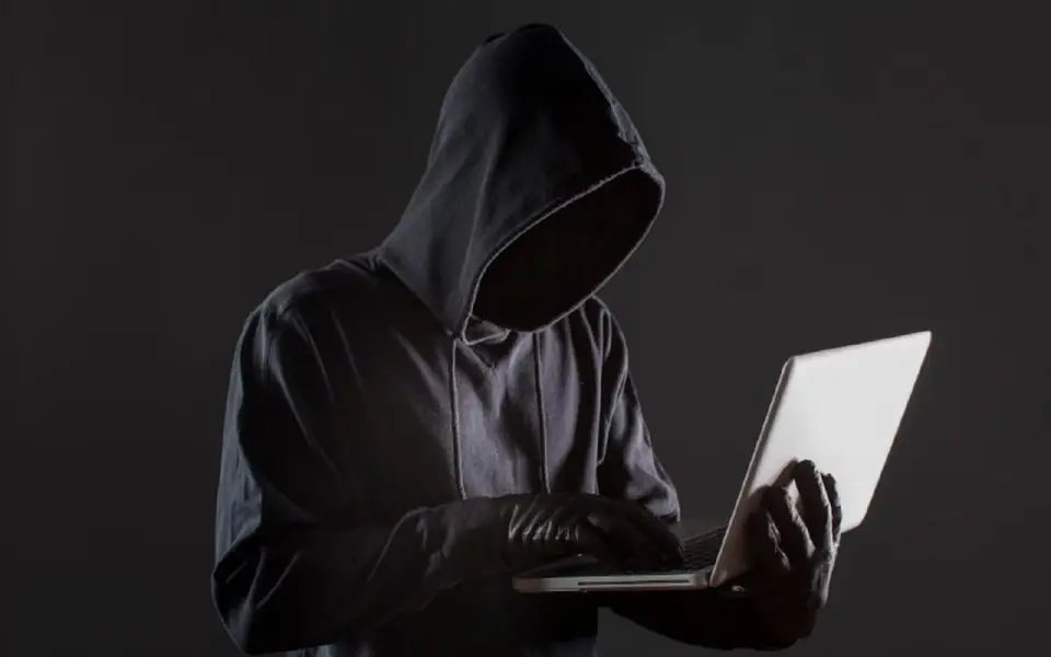 Воронежская область стала лидером в Черноземье по числу DDoS-атак на сайты бизнеса и госорганов Воронежская область стала лидером в Черноземье по числу DDoS-атак на сайты бизнеса и госорганов