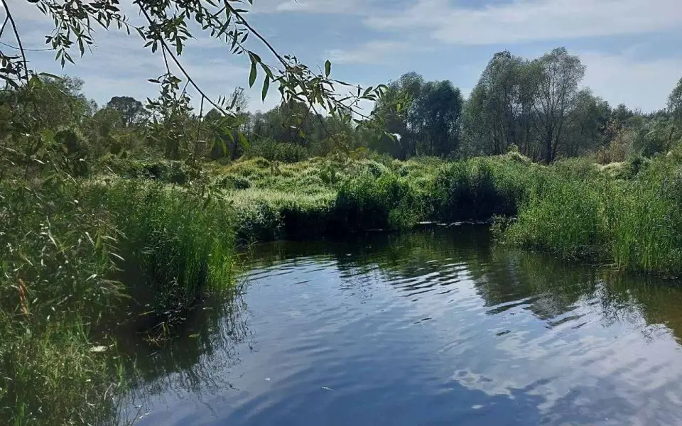 Реку Усмань будут расчищать в рамках федерального проекта «Вода России» Реку Усмань будут расчищать в рамках федерального проекта «Вода России»