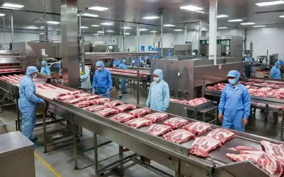 Воронежский мясник «Аргус» сменил название и адрес после приостановки работы из-за антисанитарии Воронежский мясник «Аргус» сменил название и адрес после приостановки работы из-за антисанитарии