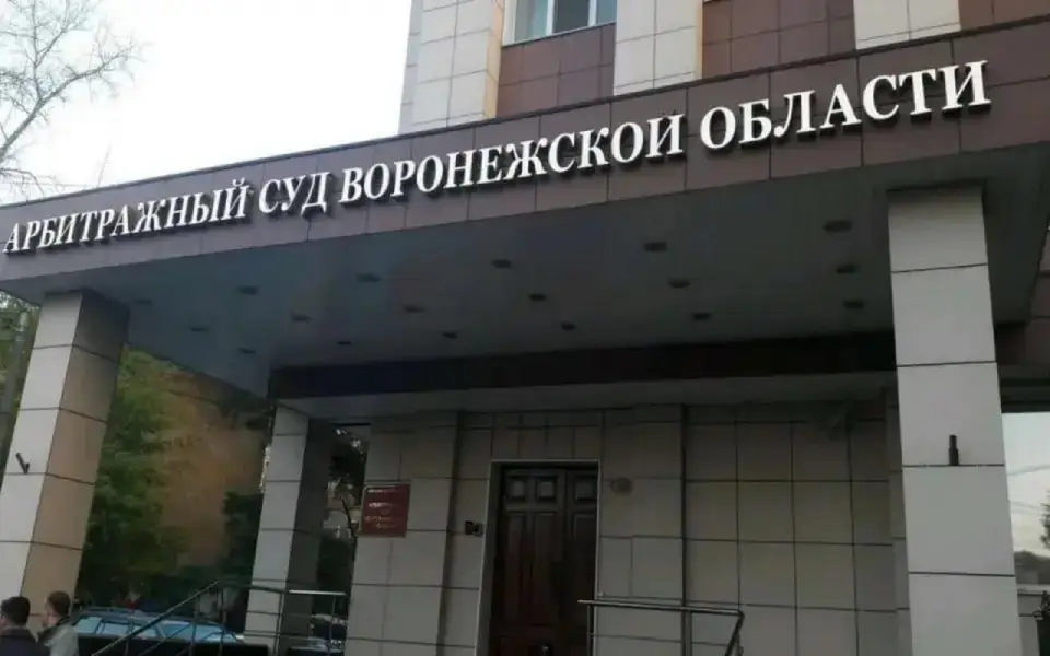 Апелляция не спасла воронежскую судью Мальцеву от уголовного дела Апелляция не спасла воронежскую судью Мальцеву от уголовного дела