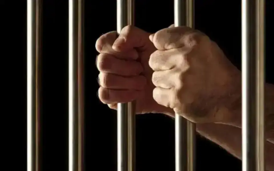Экс-главу Корпорации развития Курской области Лукина приговорили к 9 годам колонии за хищения на фортификациях