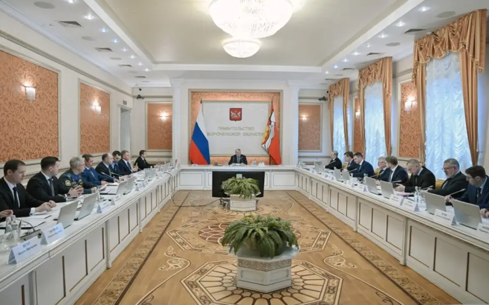 Налоговые поступления в консолидированный бюджет Воронежской области достигли 204,6 млрд рублей