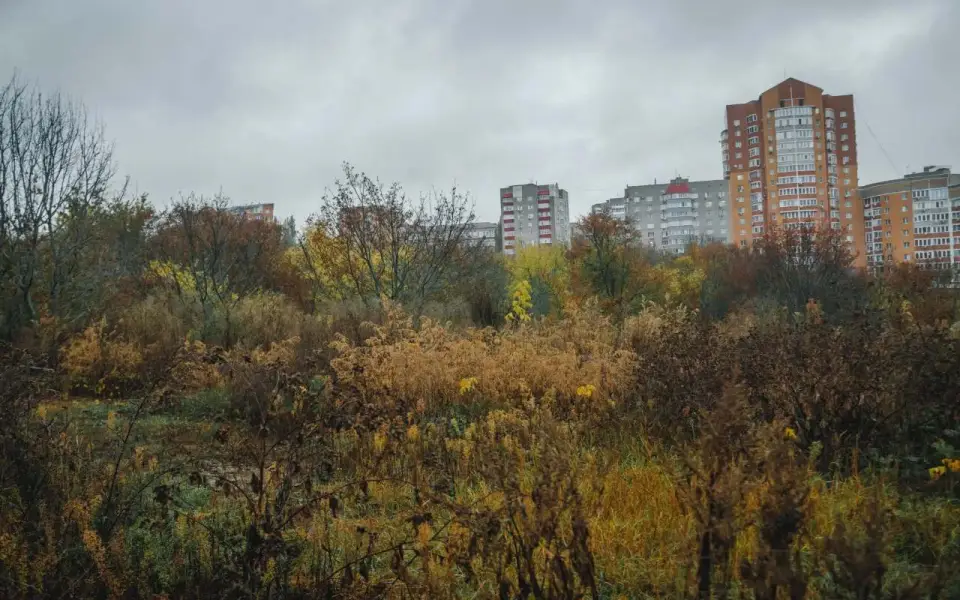 Суд вернул в госсобственность землю в центре Курска, связанную с ОПГ Волобуевых Суд вернул в госсобственность землю в центре Курска, связанную с ОПГ Волобуевых
