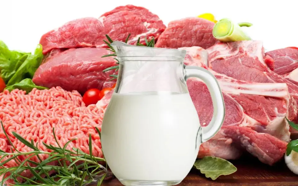 Экспорт животноводческой продукции и кормов из Орловской области вырос в три раза Экспорт животноводческой продукции и кормов из Орловской области вырос в три раза
