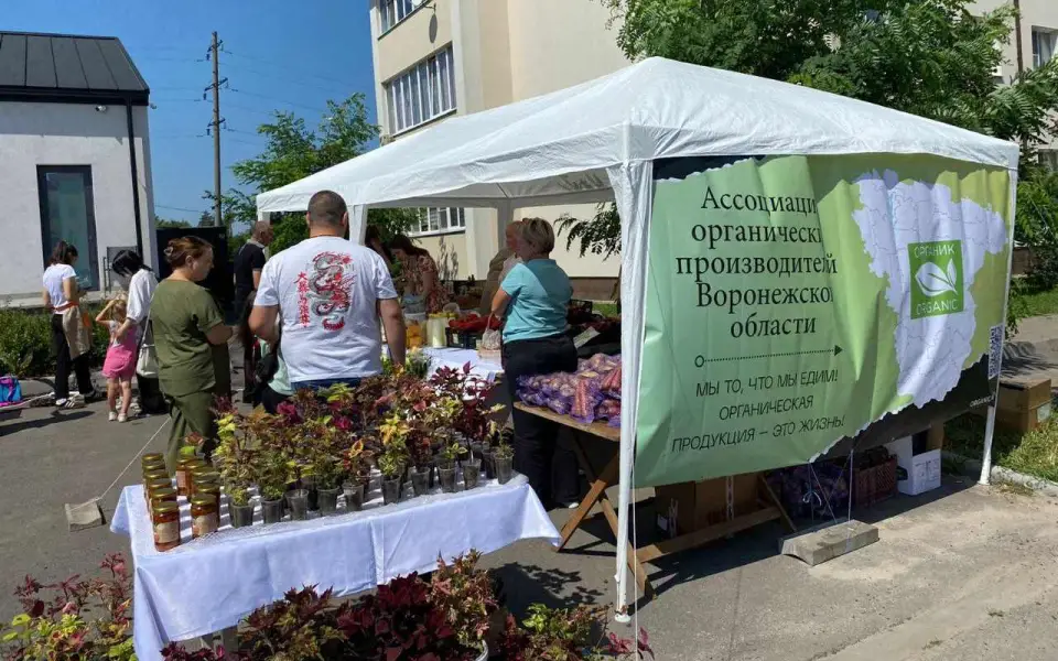 «Фестиваль органического огурца» в Воронеже соберет производителей и гостей со всего региона 26 июля