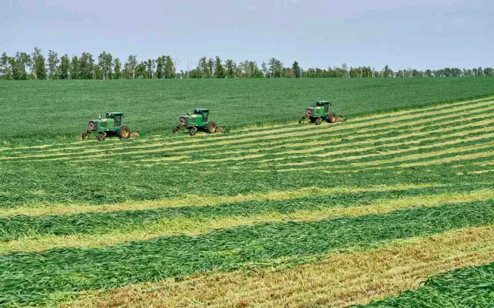 «ЭкоНива» нарастила производство молока на 4% и увеличила выпуск готовой продукции на 19% «ЭкоНива» нарастила производство молока на 4% и увеличила выпуск готовой продукции на 19%