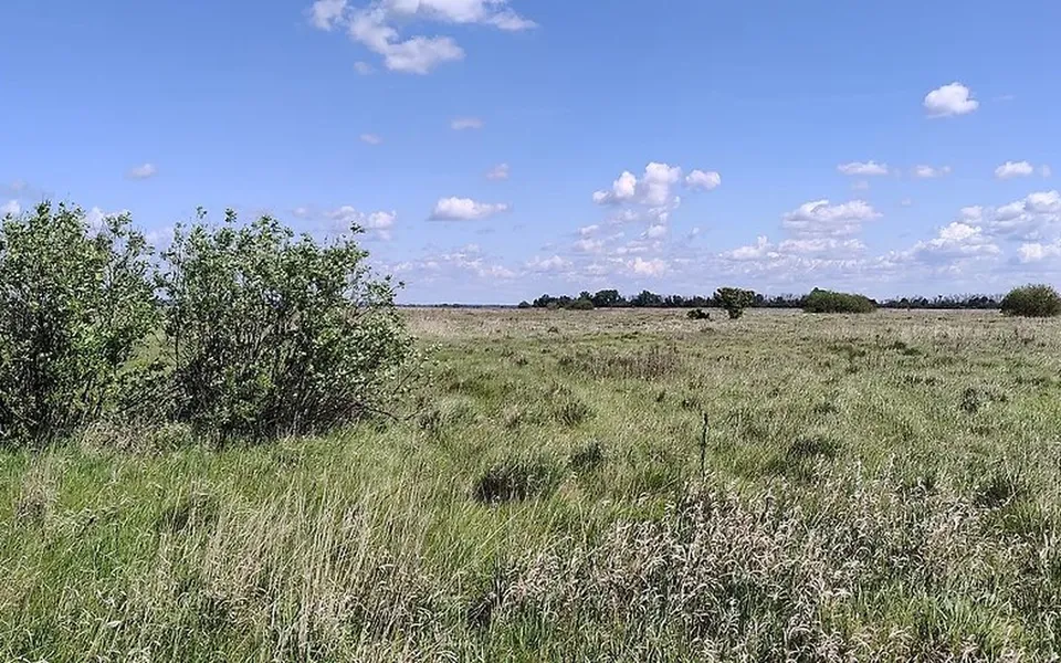 Под Воронежем вновь не нашли покупателя на 115 га структуры «Созвездия» Под Воронежем вновь не нашли покупателя на 115 га структуры «Созвездия»